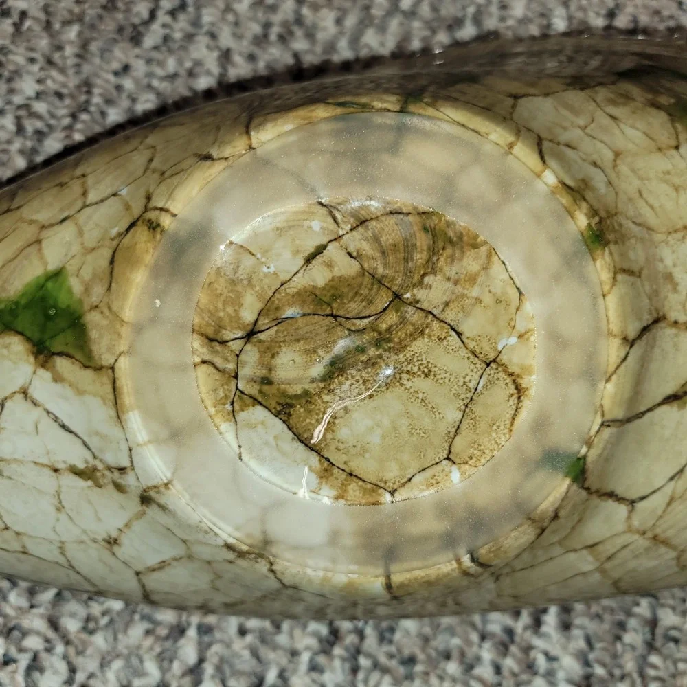 Vintage 1970s Beige Green Bowl Polish Cello Jozifina Home Decor Seashell